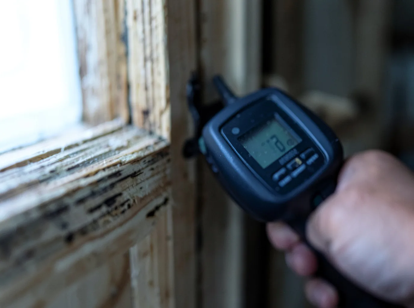 Moisture Inspection And Documentation in Echo, OR